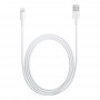 Apple Lightning to USB Cable